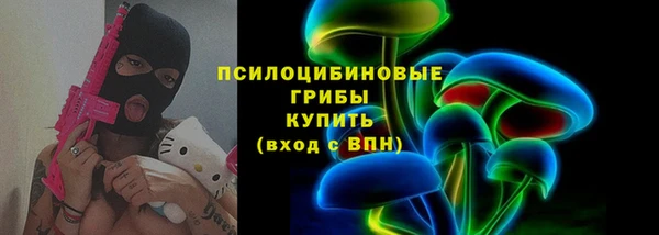 молекула духа Горно-Алтайск