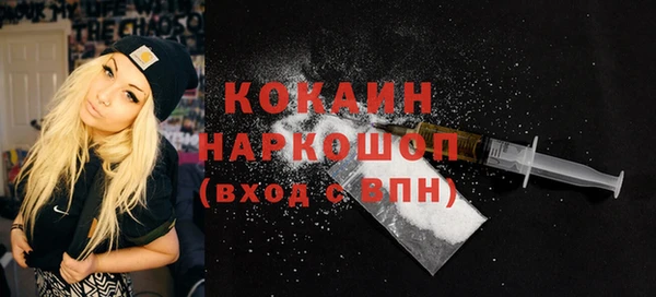 гидра Вяземский